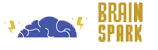 BrainSpark Academy